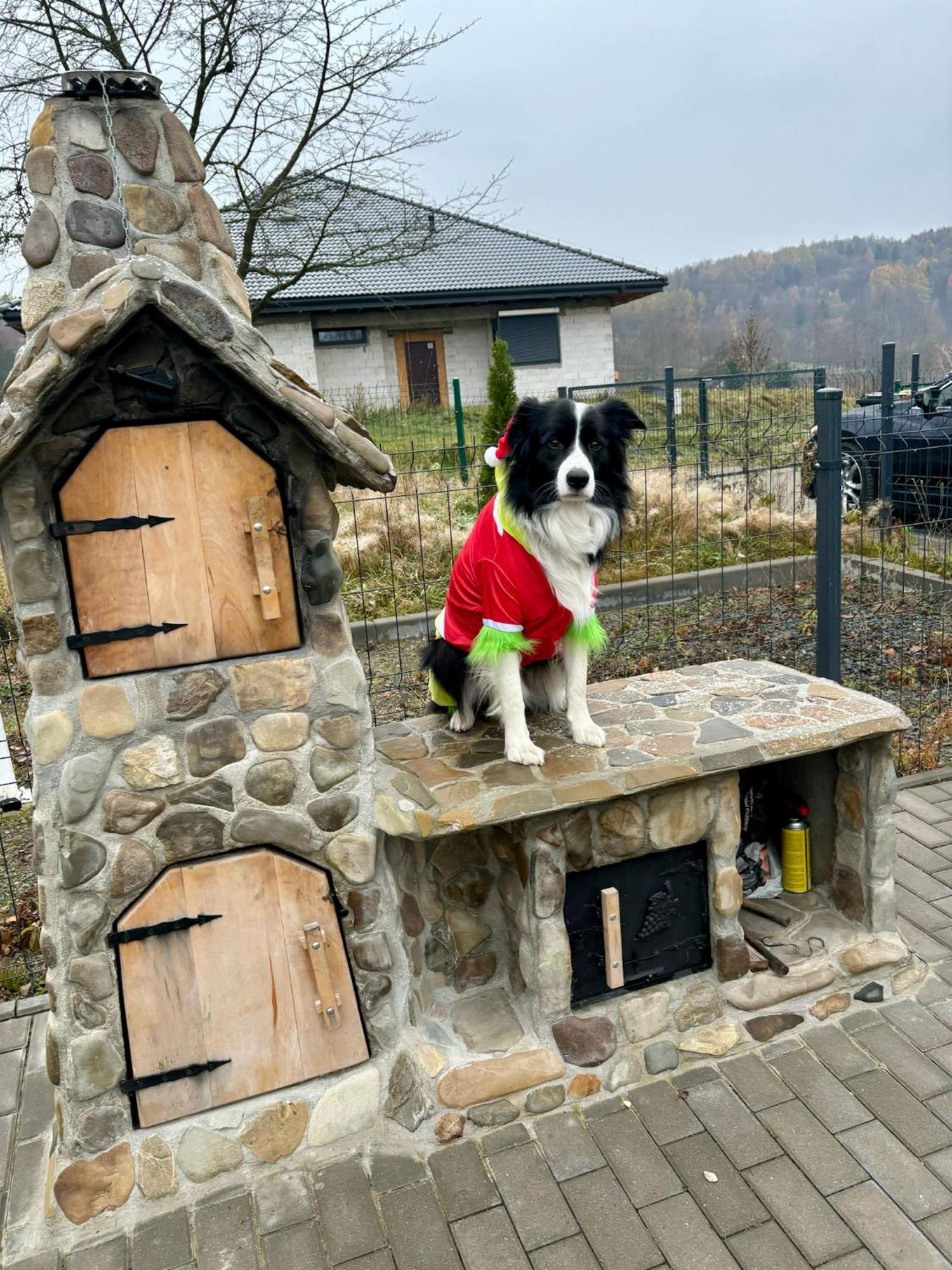 Sniezna Chatka - Sosnowka Karpacz Екстер'єр фото